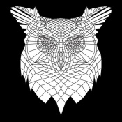 NAXART Studio - White Owl Mesh