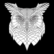 NAXART Studio - White Owl Mesh