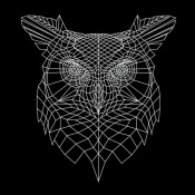 NAXART Studio - Black Owl Mesh