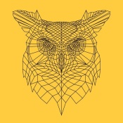 NAXART Studio - Yellow Owl Mesh