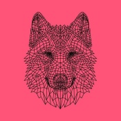 NAXART Studio - Pink Woolf