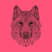 NAXART Studio - Pink Woolf