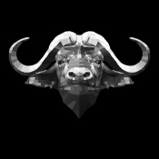 NAXART Studio - Black Buffalo