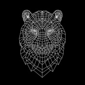 NAXART Studio - Tiger Head Mesh