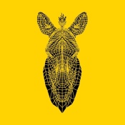 NAXART Studio - Yellow Zebra Mesh