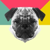 NAXART Studio - Party Pug