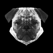 NAXART Studio - Pug Head