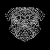 NAXART Studio - Pug Head Black Mesh