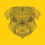 NAXART Studio - Pug Head Yellow Mesh