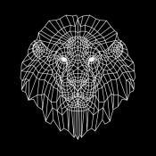 NAXART Studio - Lion Head Black Mesh