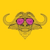 NAXART Studio - Buffalo in Pink Glasses