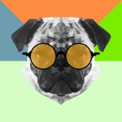 NAXART Studio - Party Pug in Yellow Glasses