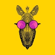 NAXART Studio - Zebra in Pink Glasses