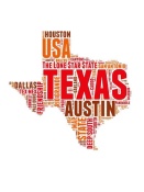 NAXART Studio - Texas Word Cloud Map