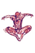 NAXART Studio - Spiderman
